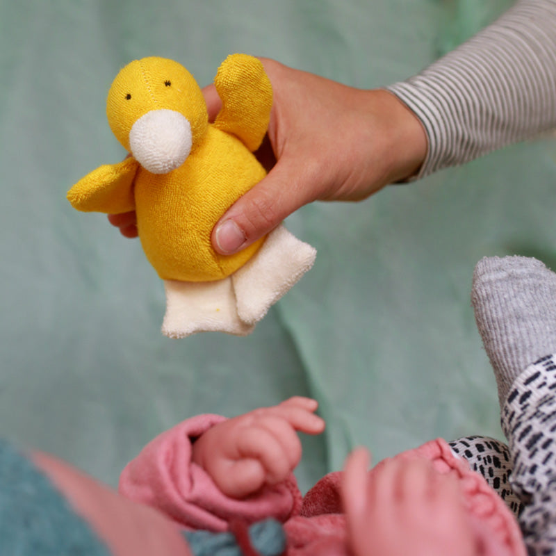 yellow duckling