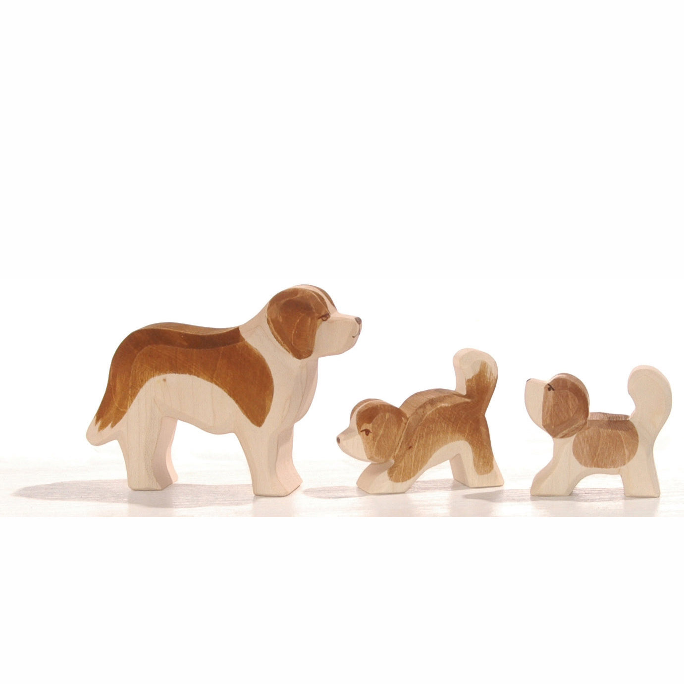 Ostheimer St. Bernard puppy small, head high