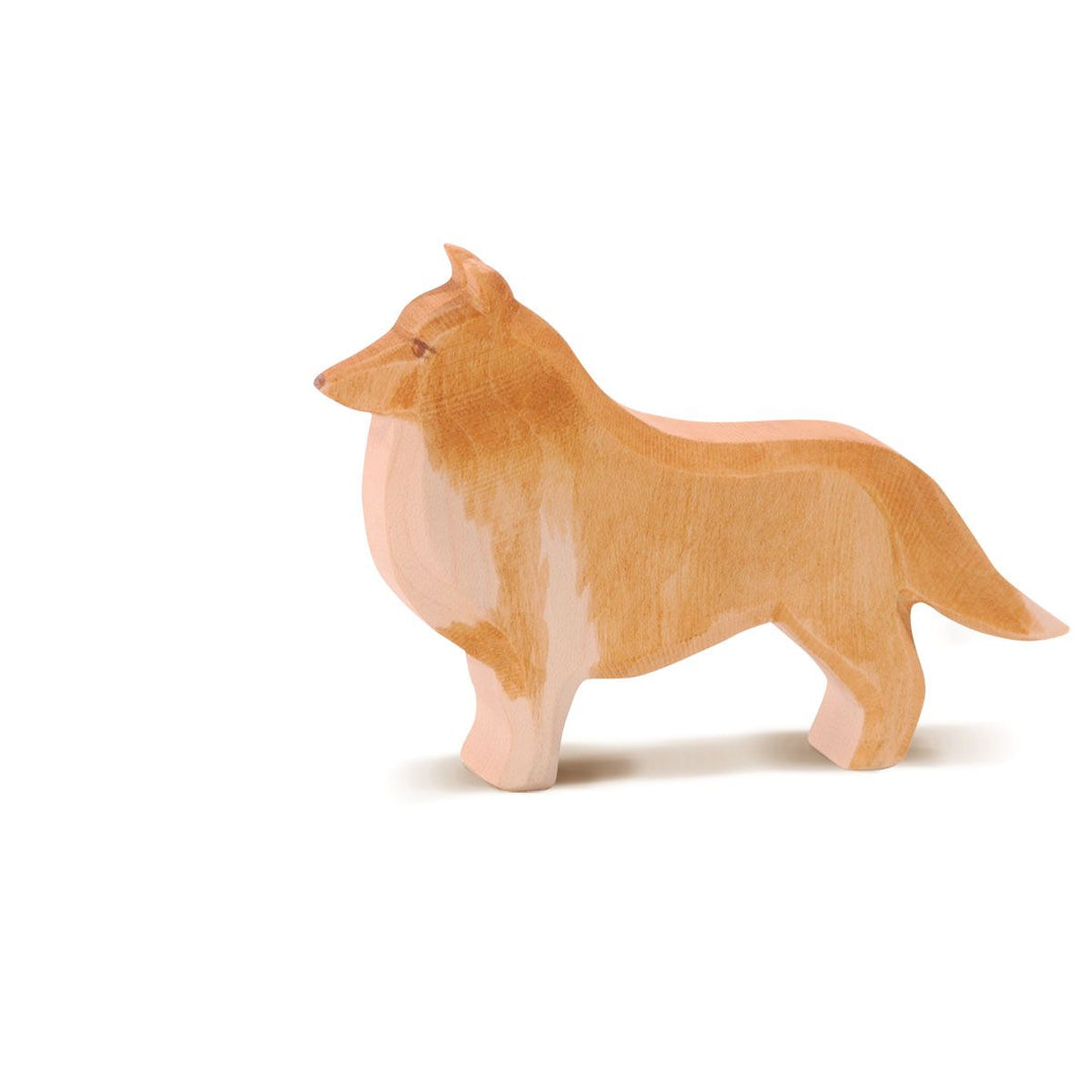 Ostheimer collie