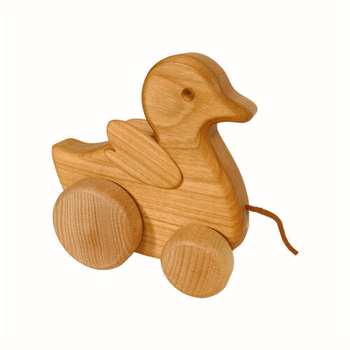 pull along chick