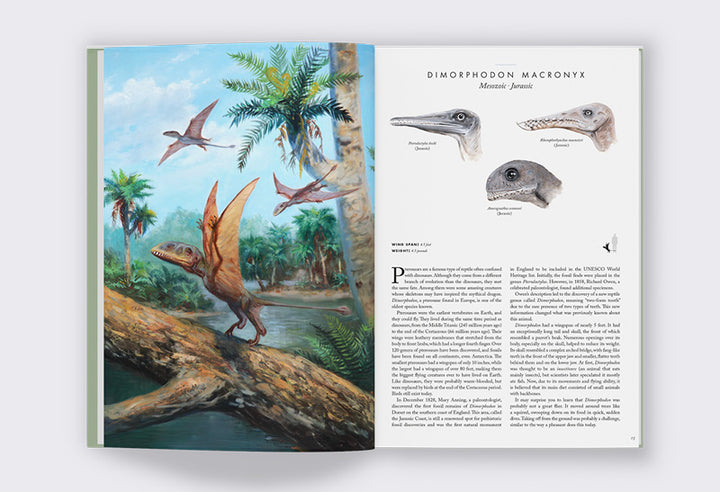 Atlas Of Prehistoric Animals