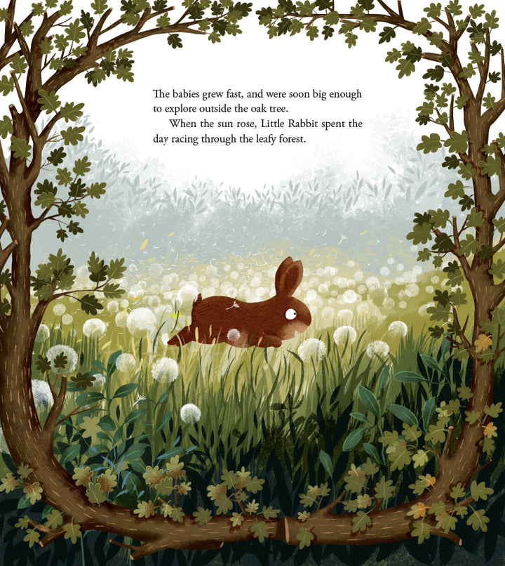 When Little Owl Met Little Rabbit