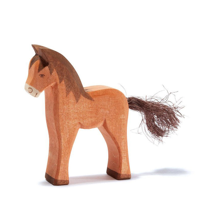 Ostheimer brown colt