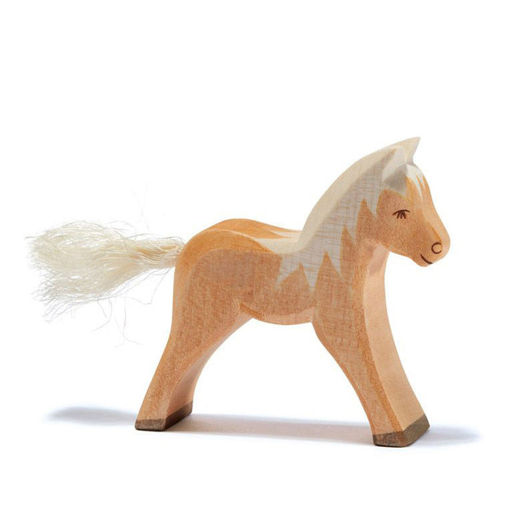 Ostheimer haflinger foal