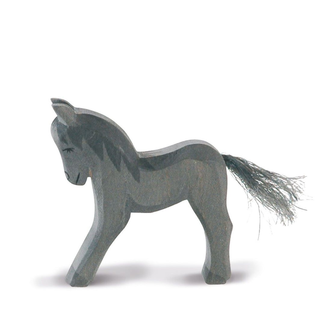 Ostheimer black colt
