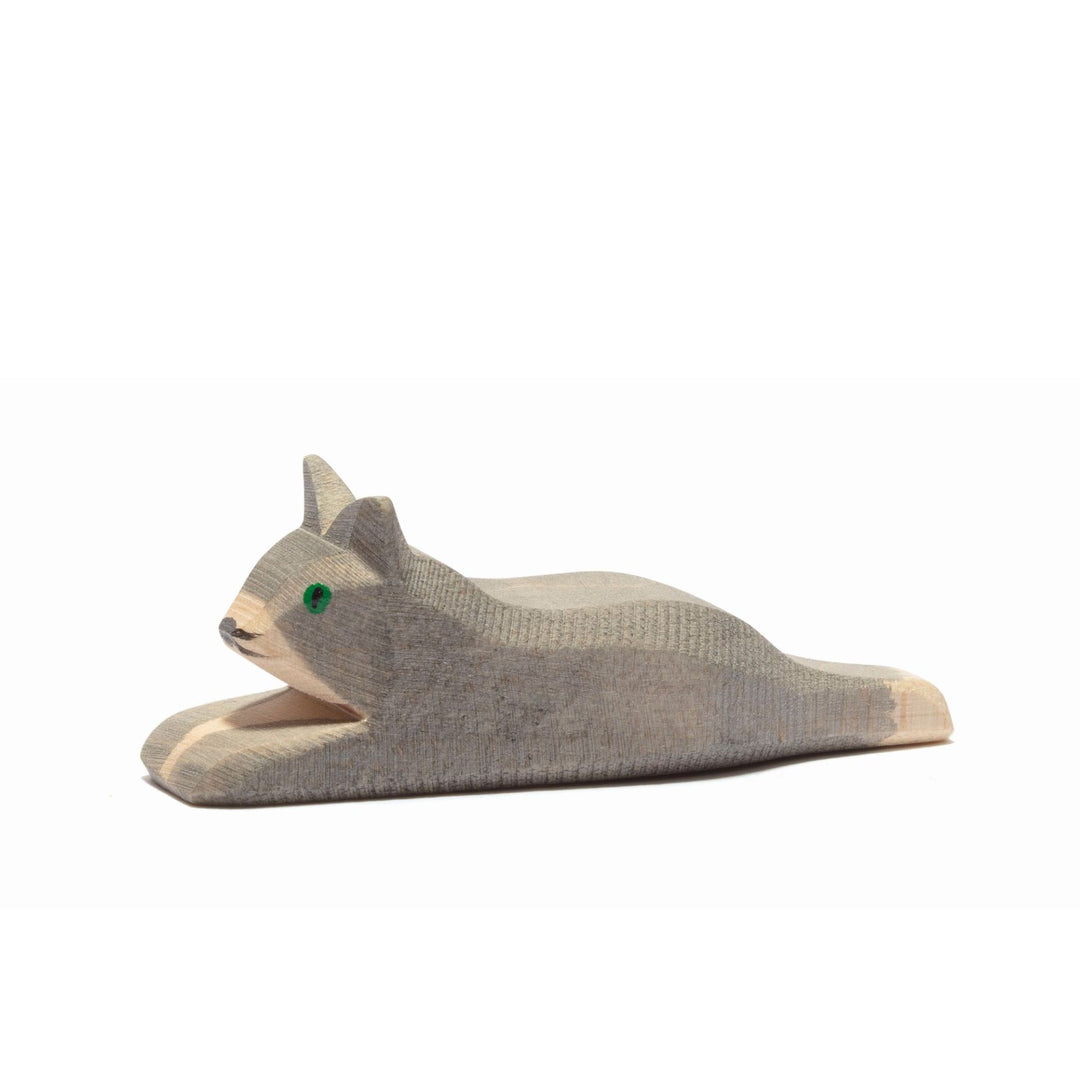 Ostheimer kitten lying down, gray