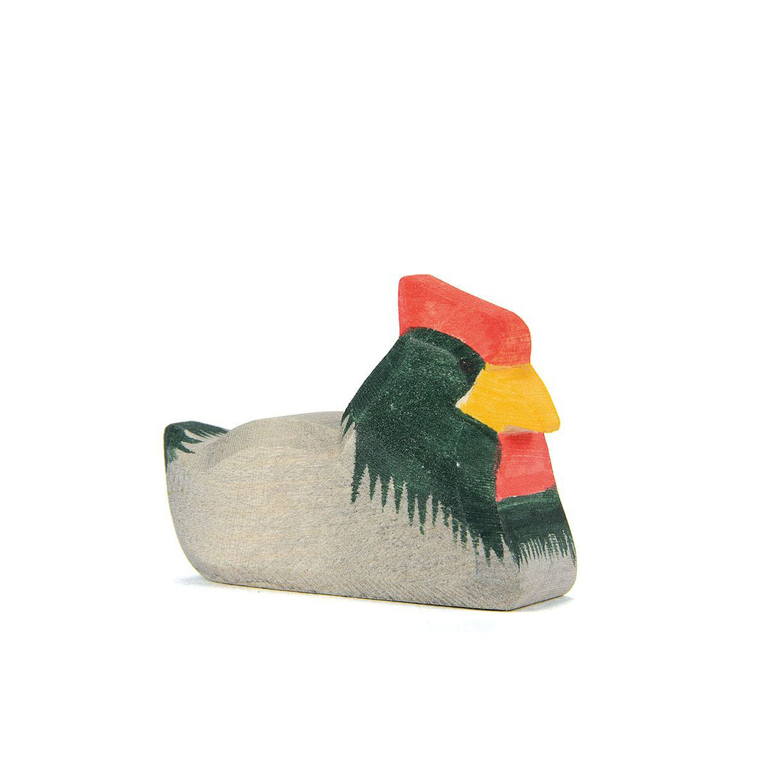 Ostheimer dark hen on nest