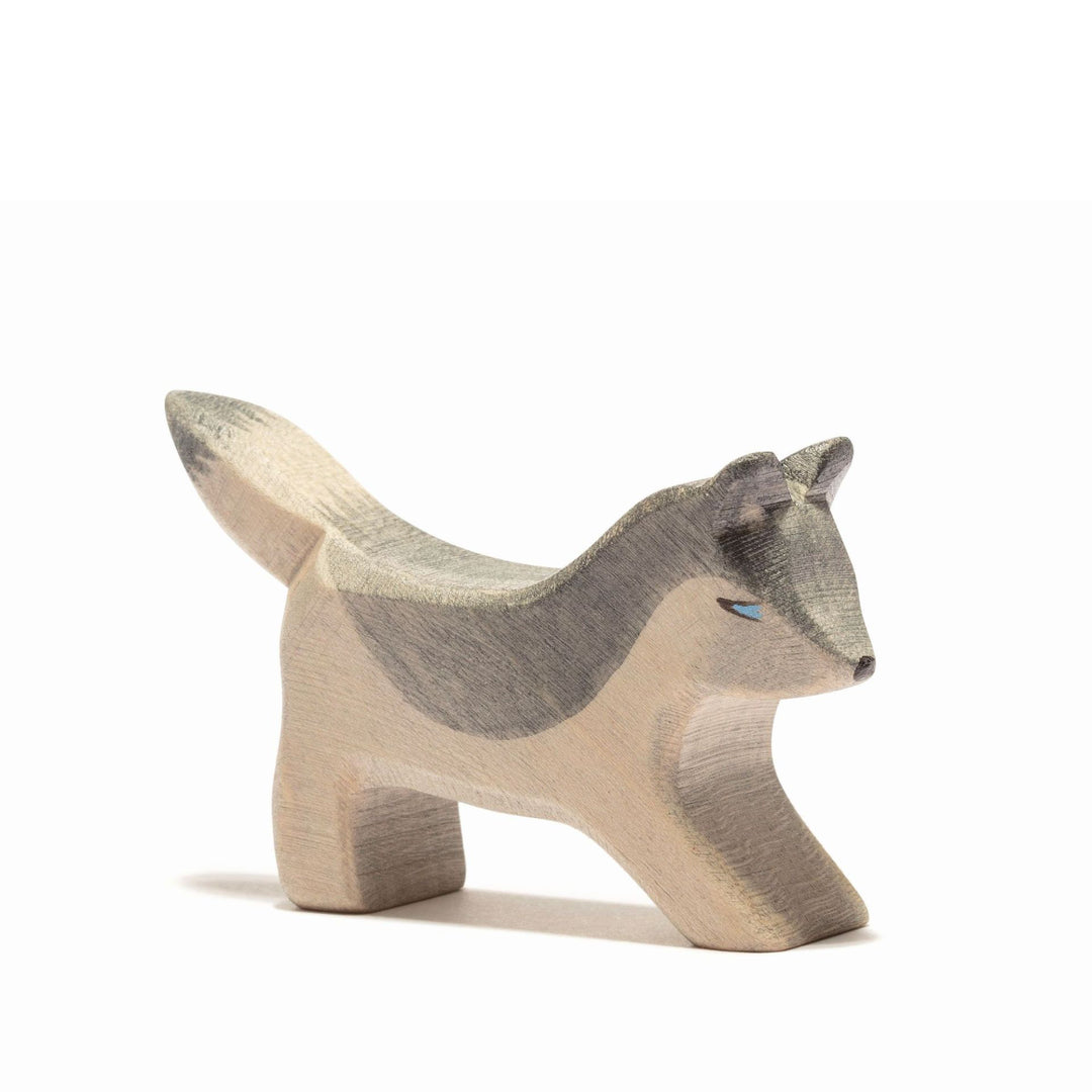 Ostheimer small wolf cub running