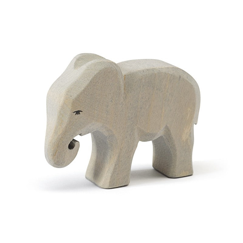 Ostheimer elephant small eating