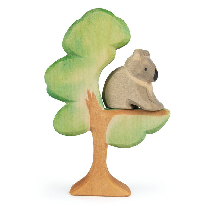 Ostheimer eucalyptus tree