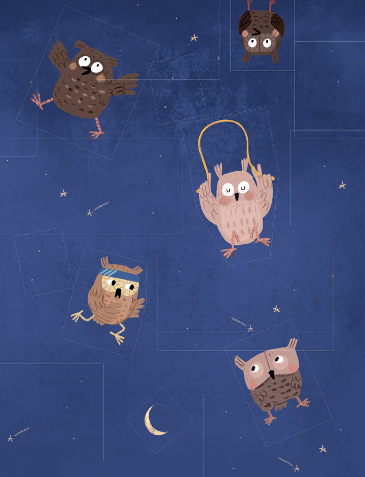 Time for Bed, Little Owls!