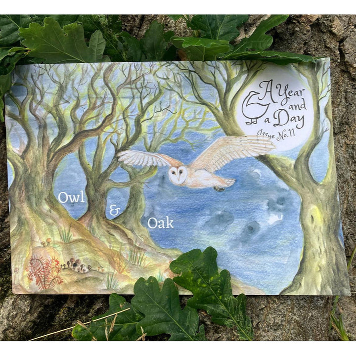A Year and a Day, Issue 11: Owl & Oak