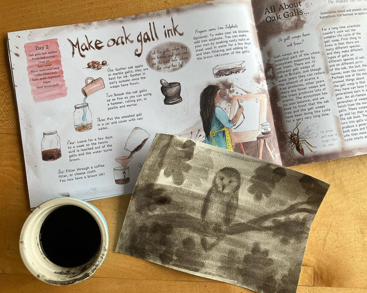 A Year and a Day, Issue 11: Owl & Oak