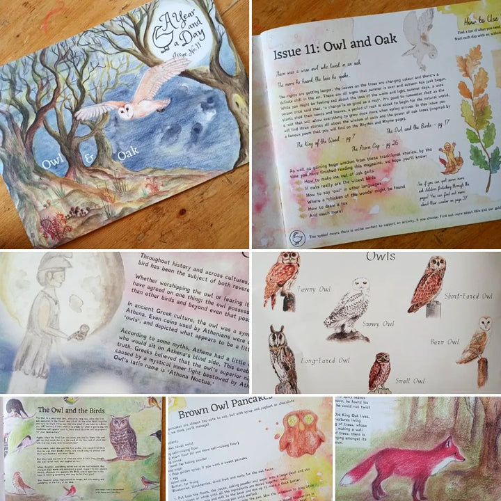 A Year and a Day, Issue 11: Owl & Oak