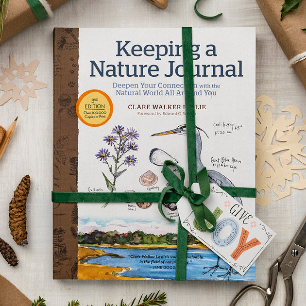 Keeping a Nature Journal