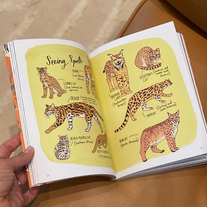 Wildlife Anatomy