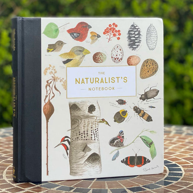 Notebook titled 'The Naturalist's Notebook' with nature-themed illustrations on a table outdoors.