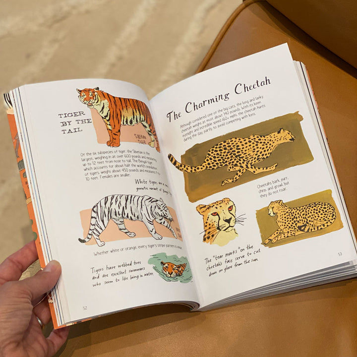 Wildlife Anatomy