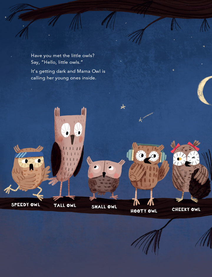 Time for Bed, Little Owls!