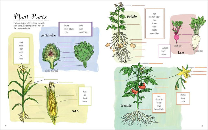 Farm Anatomy Activity Book