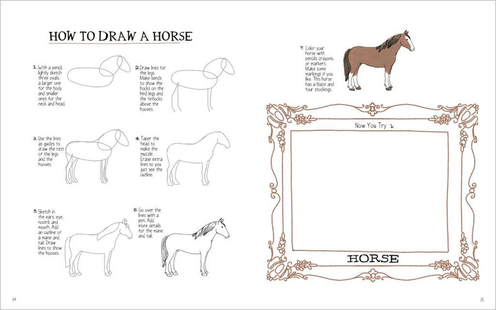 Farm Anatomy Activity Book