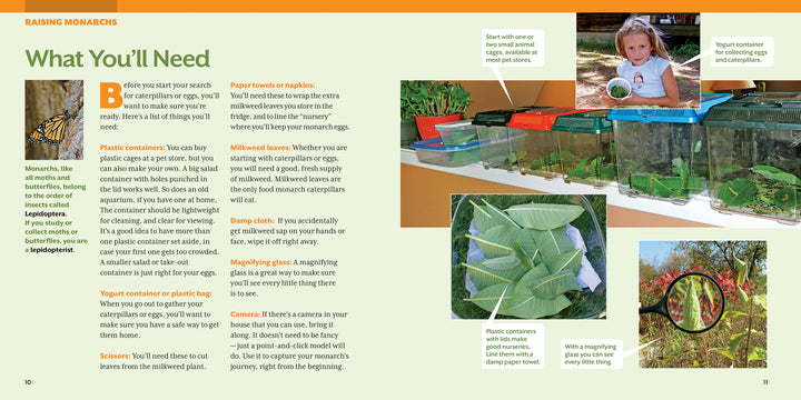 How to Raise Monarch Butterflies