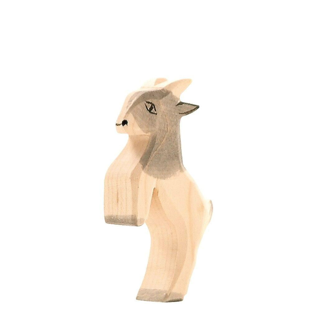 Ostheimer goat kid, jumping