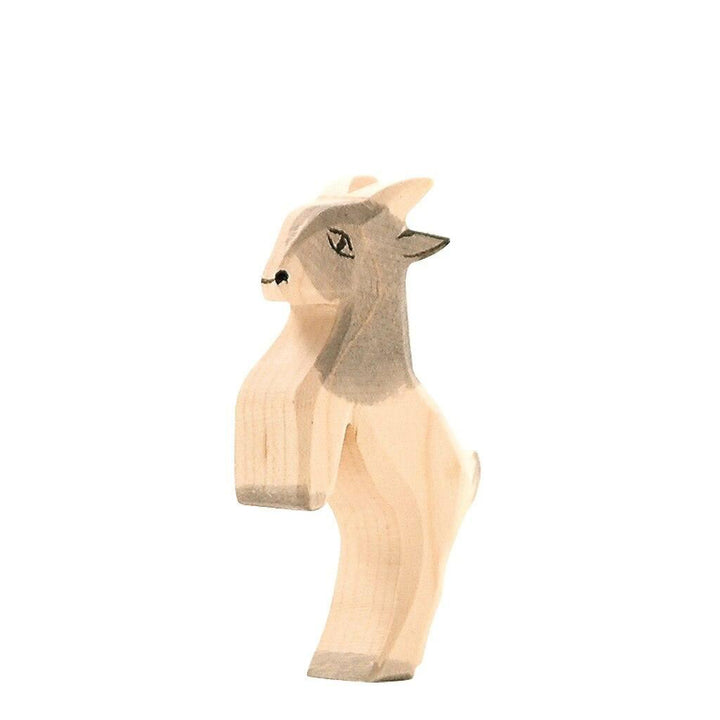 Ostheimer goat kid, jumping