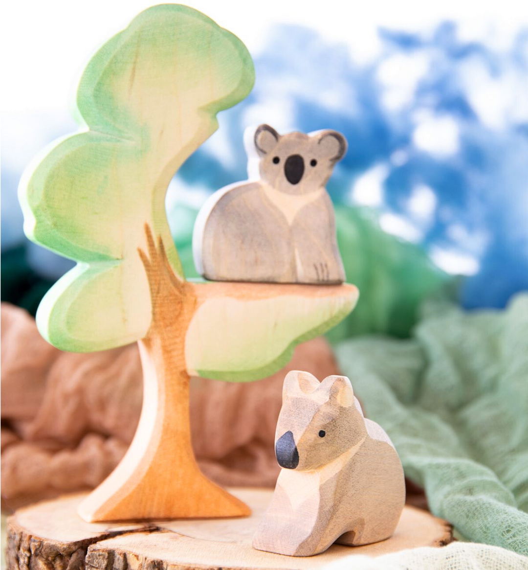 Ostheimer eucalyptus tree