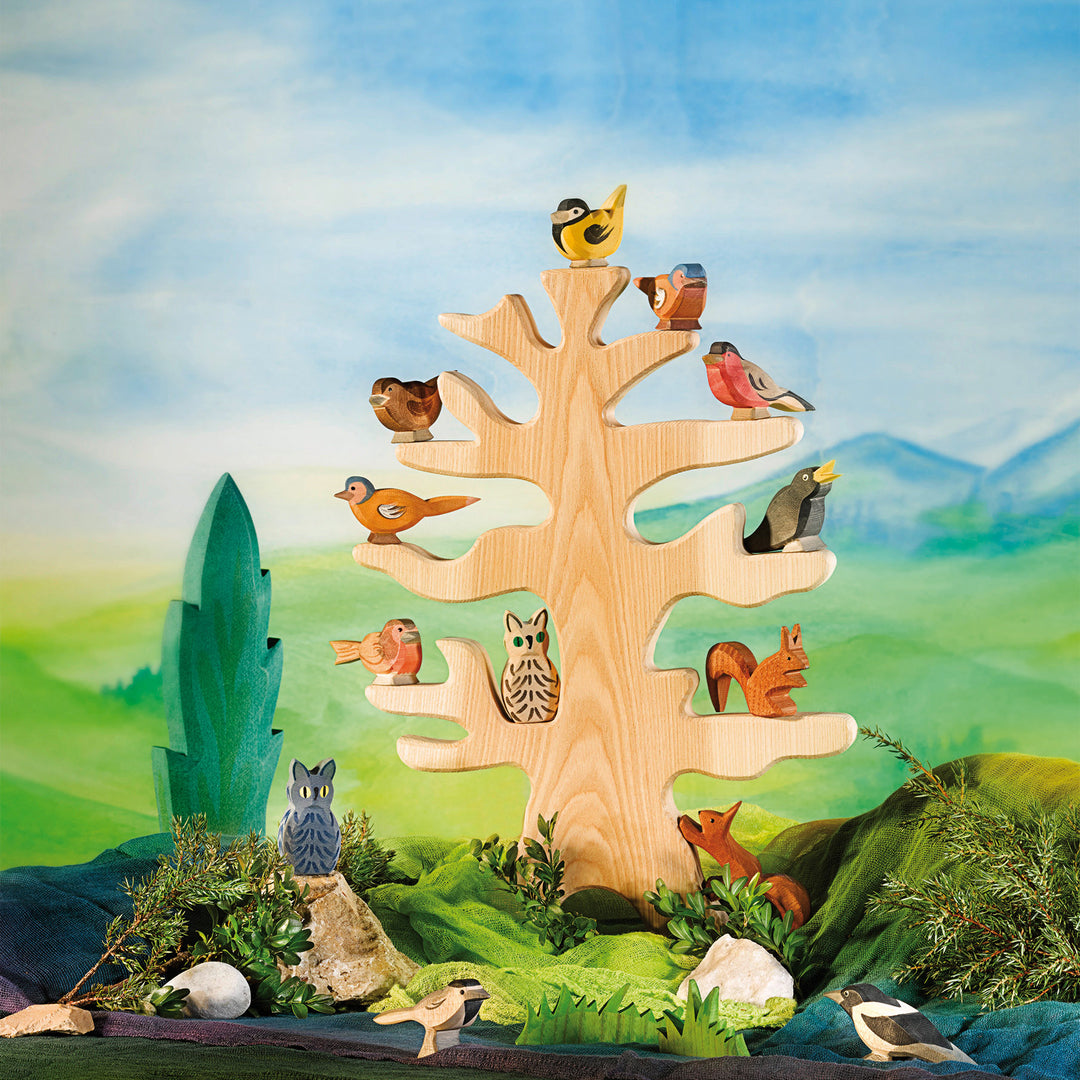 Ostheimer redbreast robin