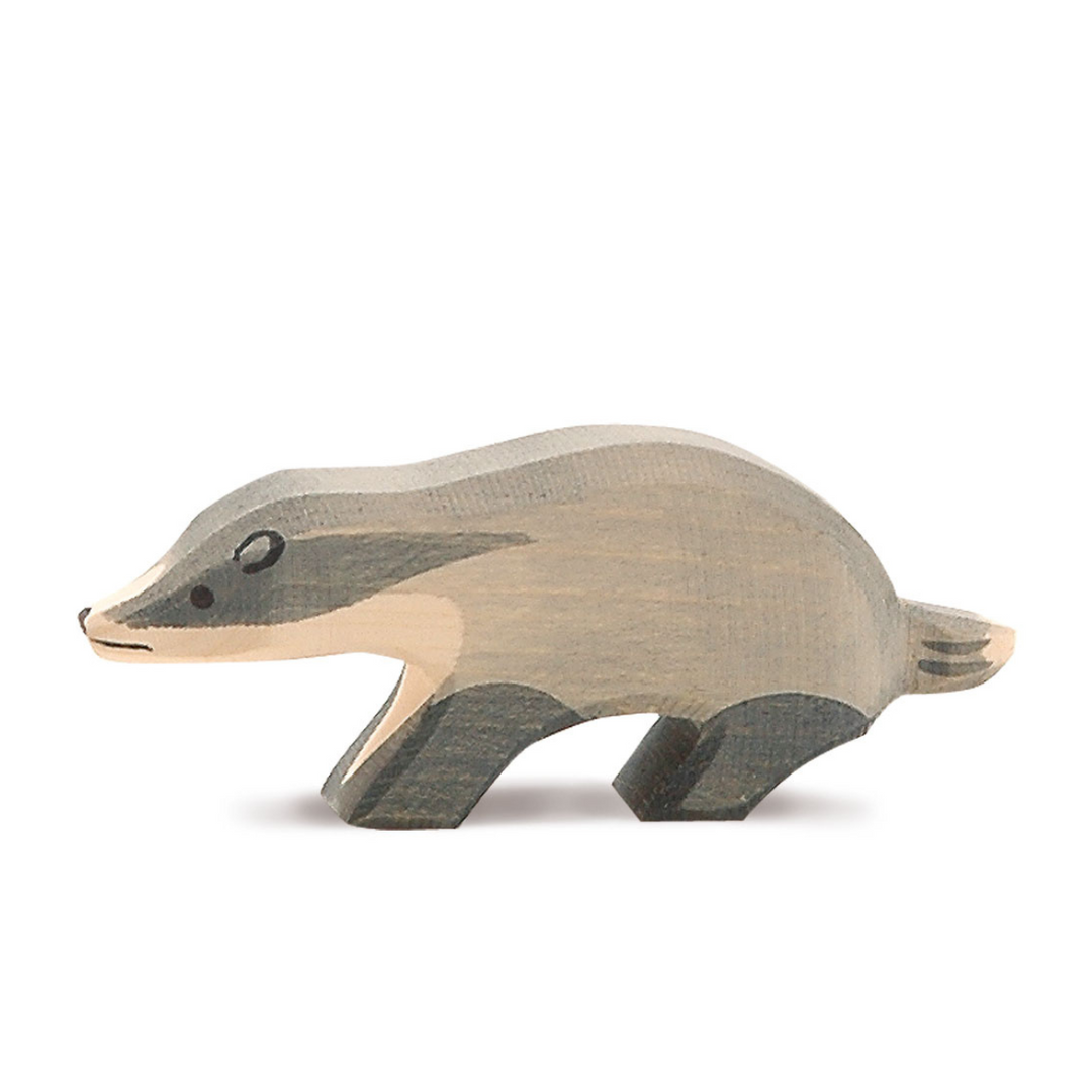Ostheimer badger, head straight