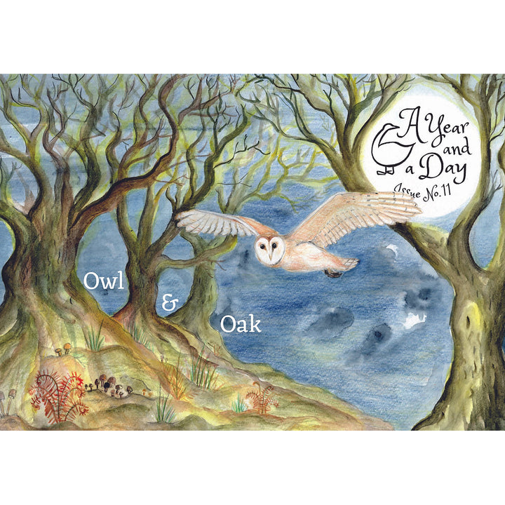A Year and a Day, Issue 11: Owl & Oak