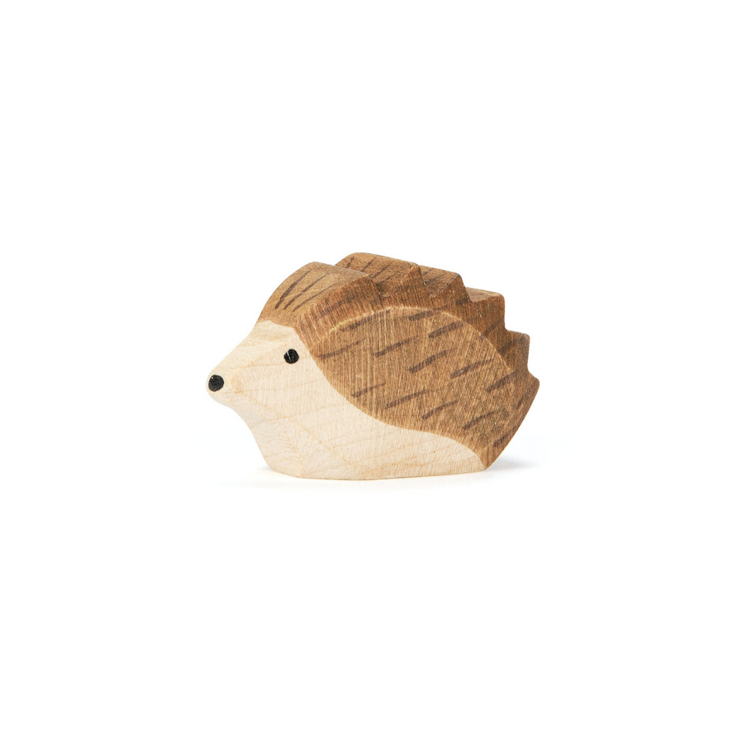 Ostheimer hedgehog, small