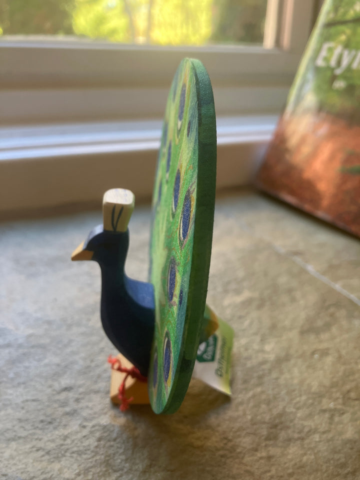 Ostheimer peacock, open (seconds)