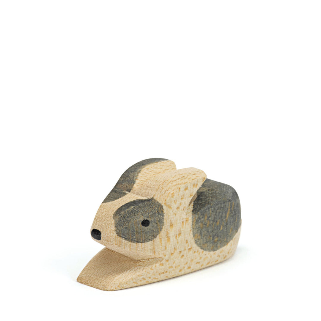 Ostheimer small black & white rabbit