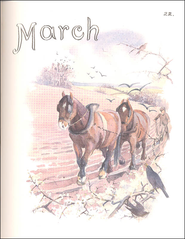 The Country Diary of an Edwardian Lady