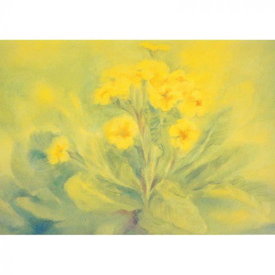 Primrose postcard by M. v. Zeyl
