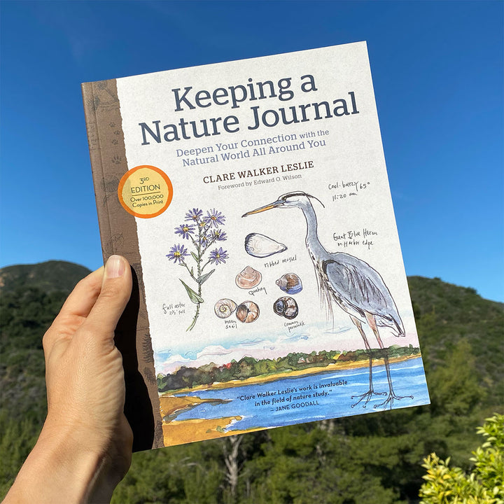 Keeping a Nature Journal