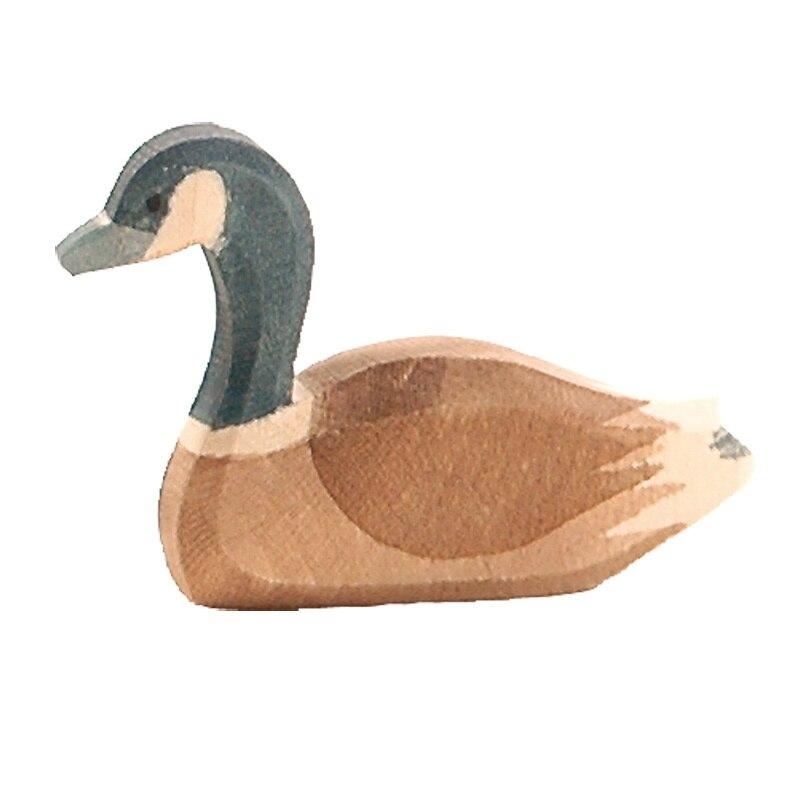 Ostheimer Canada goose swimming