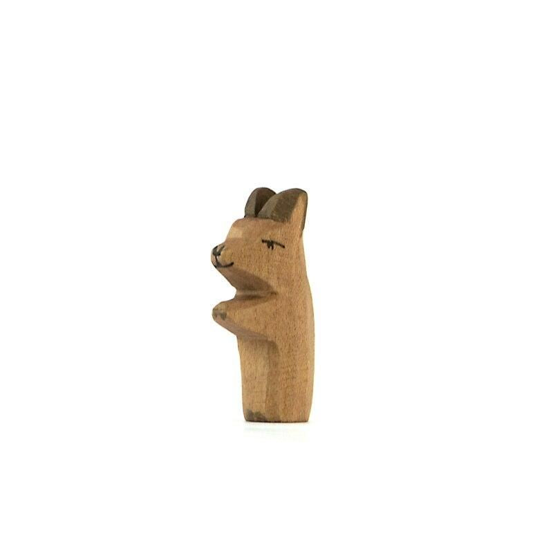 Ostheimer baby kangaroo