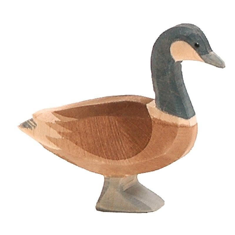 Ostheimer Canada goose standing
