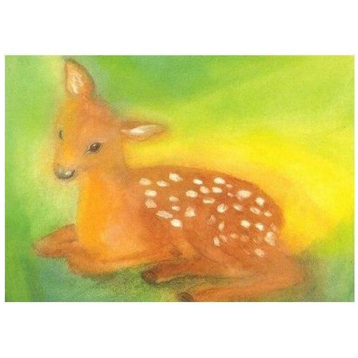 Resting Roe postcard