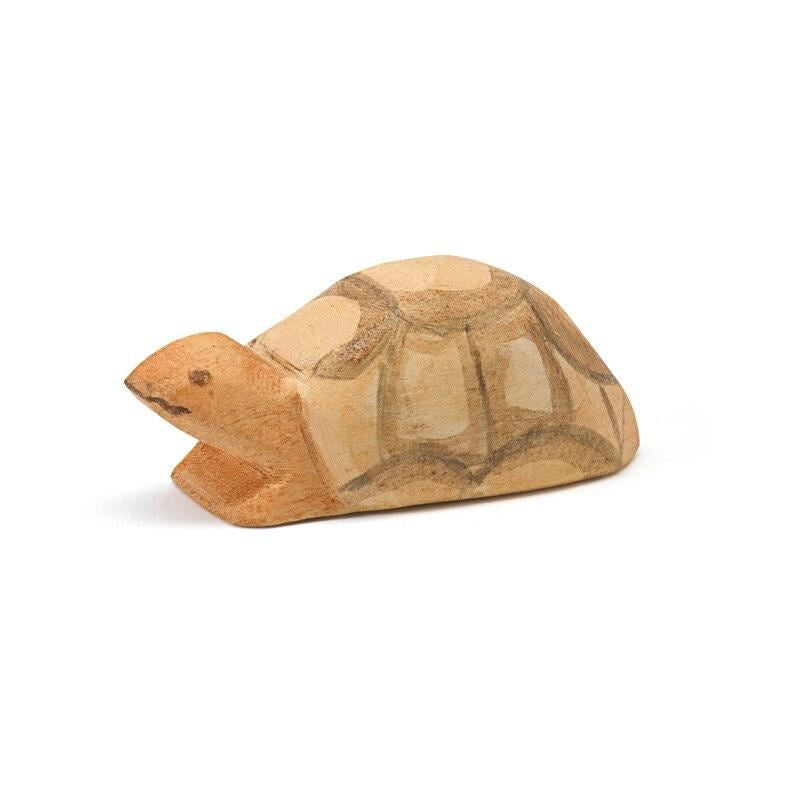 Ostheimer turtle small