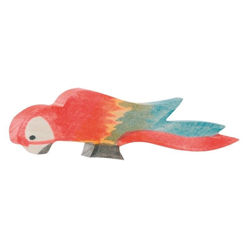 Ostheimer parrot multi