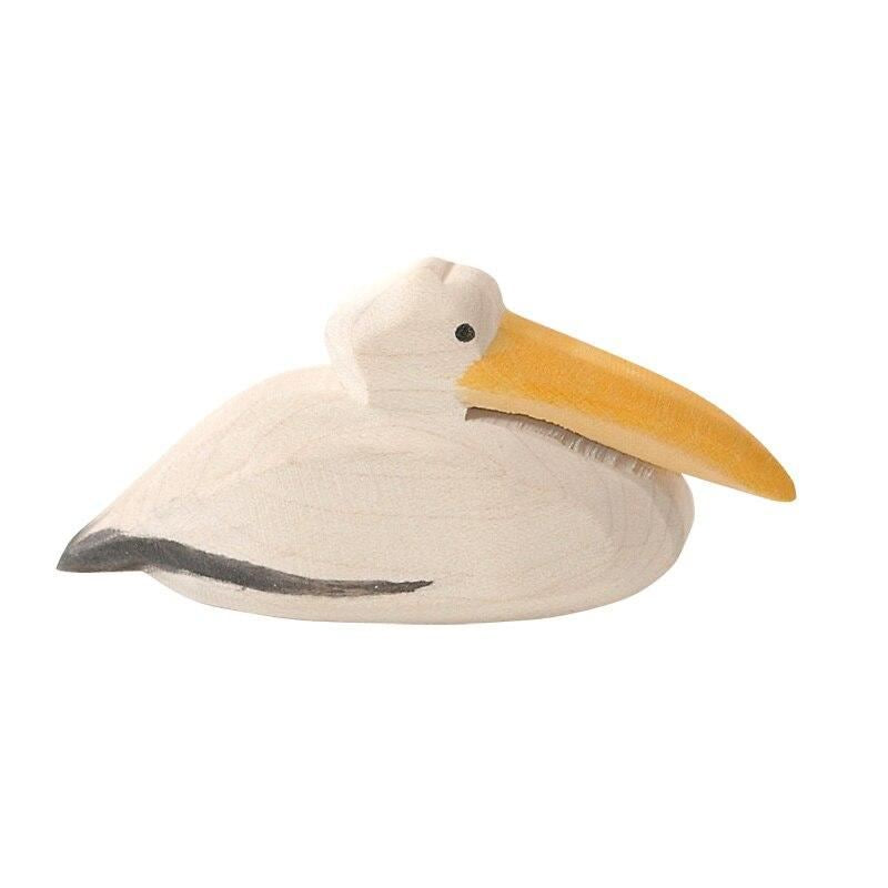 Ostheimer pelican swimming