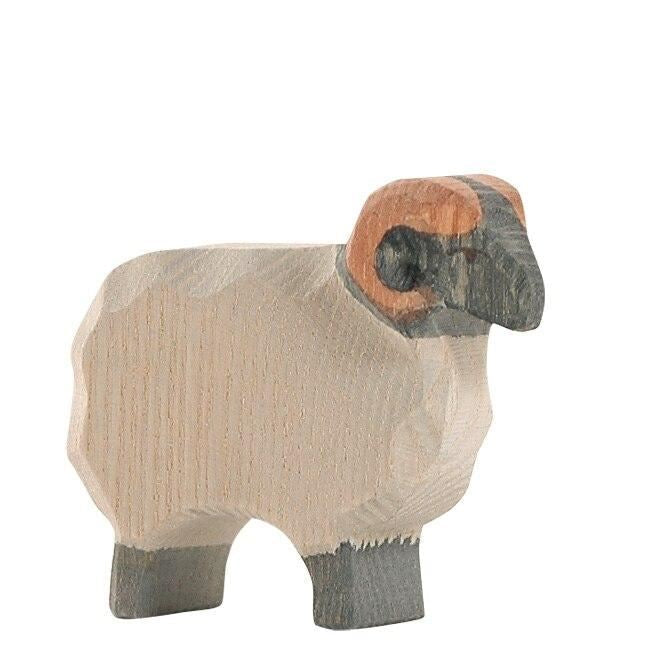 Ostheimer Moorland ram