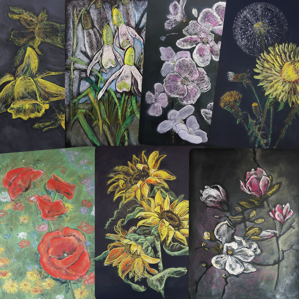 Cuckoo flowers chalk drawing postcard