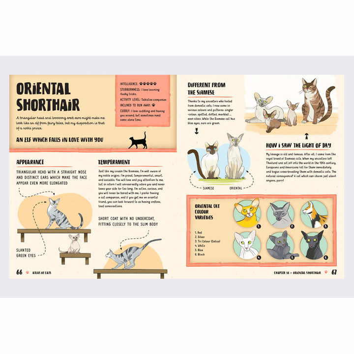 The Atlas of Cats