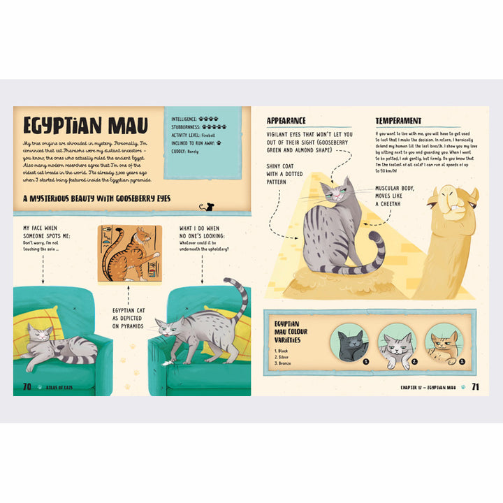 The Atlas of Cats