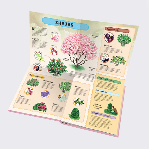 Learning about the Garden with Sleeping Beauty